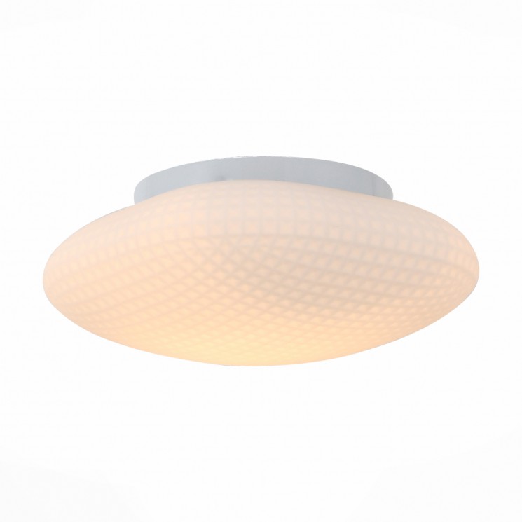 Светильник настенно-потолочный ST-Luce SL504.552.01