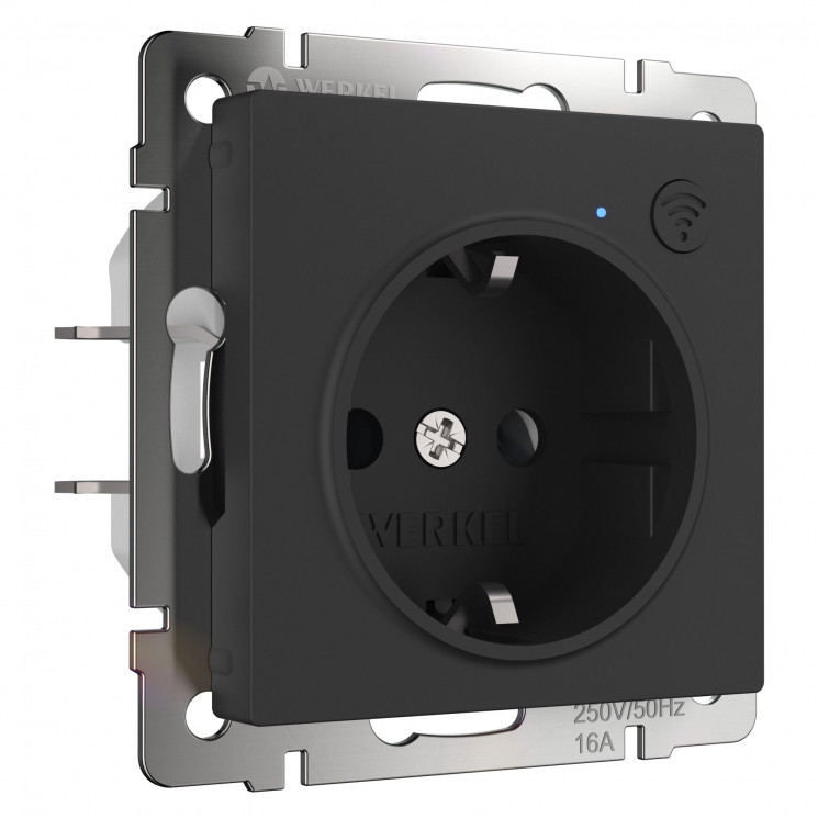 Умная встраиваемая розетка с заземлением с защитными шторками (черный матовый) W1171608 Werkel