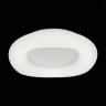 Светильник потолочный ST-Luce SL960.502.01D LEVITA