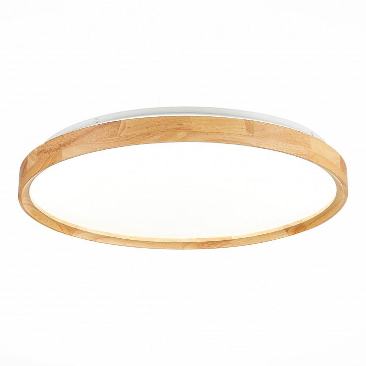 Светильник потолочный Evoluce SLE201382-01 DELIA