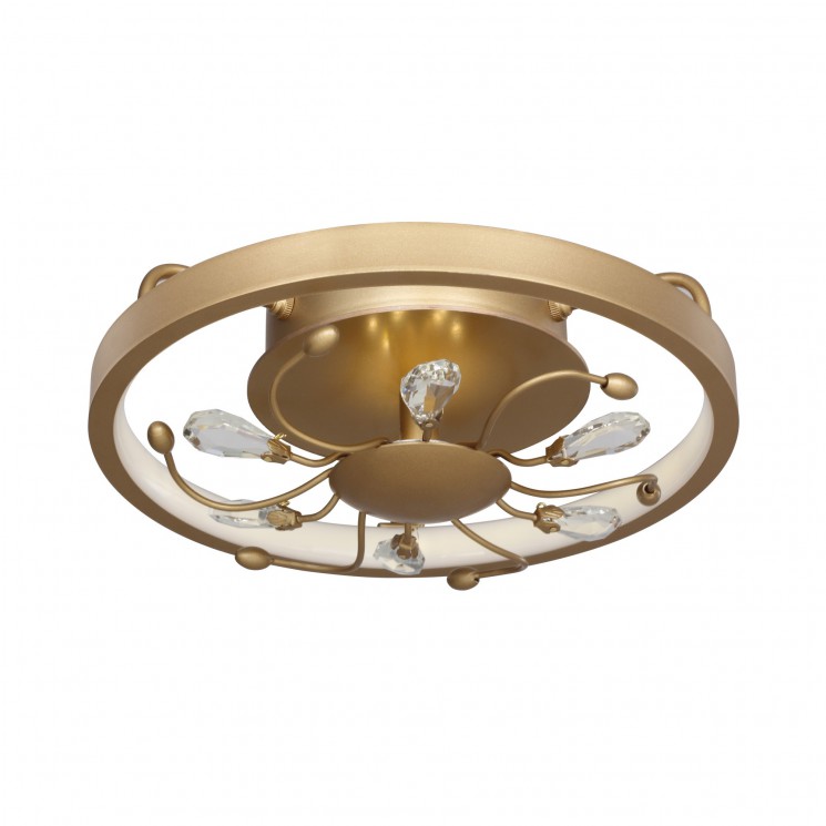 Потолочный светильник Favourite 2534-2C Waltz