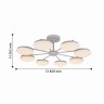 Люстра F-Promo Ledante 2475-8P