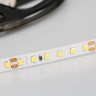 Светодиодная лента Arlight RT 2-5000 24V Day4000 2x 2835, 600LED, PRO)Бабина 5 метров 015698(B)
