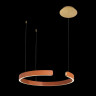 Подвесной светильник LOFT IT 10025/400 Orange RING