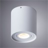 Светильник потолочный Arte lamp FALCON A5645PL-1WH