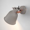 Настенный светильник Eurosvet 70079/1 серый Projector