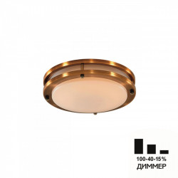 Накладной светильник Citilux CL709203N Бостон