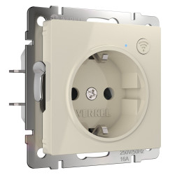 Умная встраиваемая розетка с заземлением с защитными шторками W1171603 Werkel