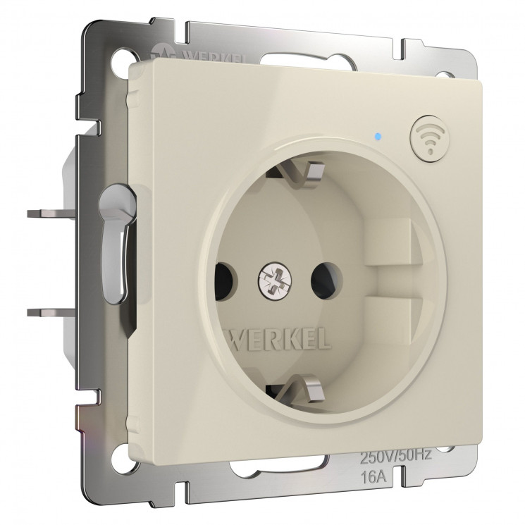 Умная встраиваемая розетка с заземлением с защитными шторками W1171603 Werkel