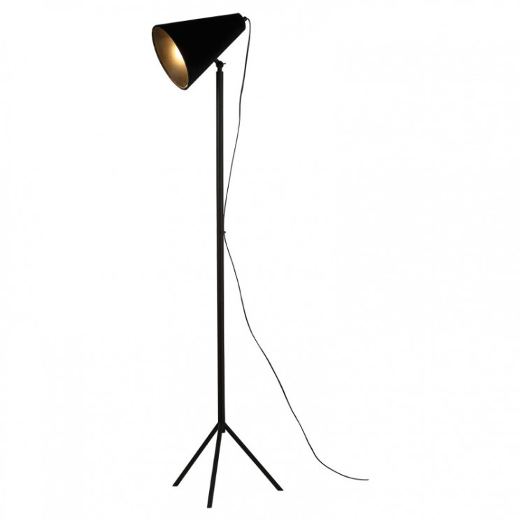 Торшер Lussole LSP-0563 COZY