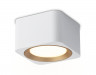 Накладной точечный светильник Ambrella light TN70831 WH/GD белый/золото GX53 max 12W 96*96*60