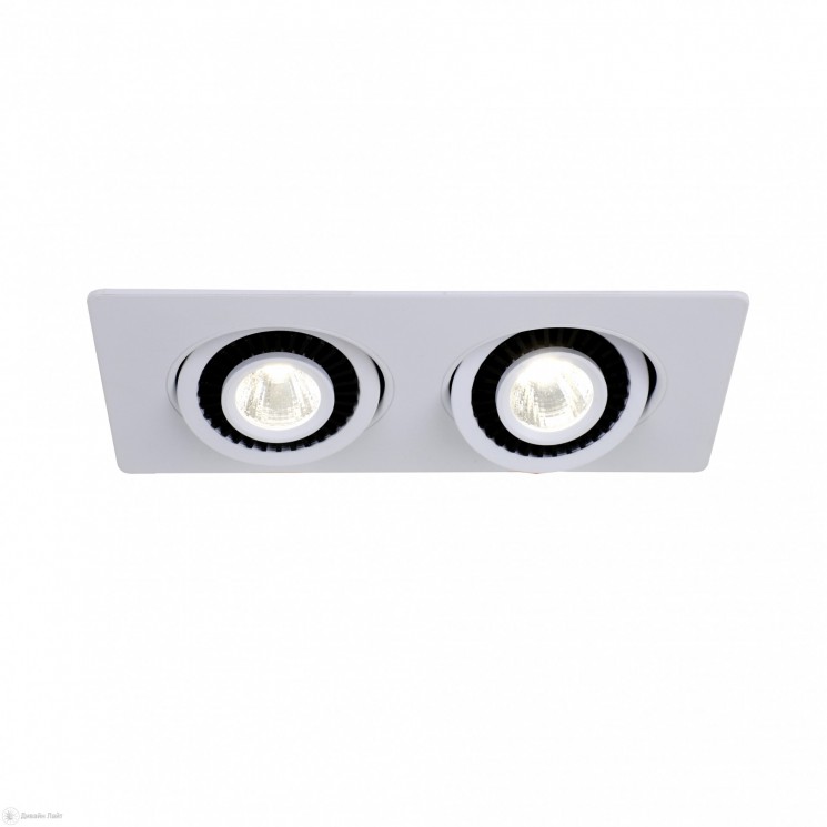 Встраиваемый светильник Favourite 2417-2U Cardine