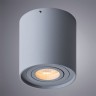 Светильник потолочный Arte lamp FALCON A5645PL-1GY
