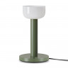 Настольная лампа Freya FR6185TL-L5GN Barries