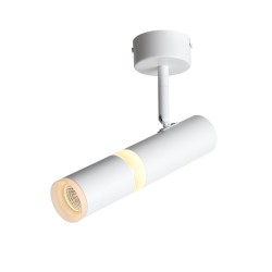 Светильник потолочный ST Luce ESCOPIO ST106.502.08