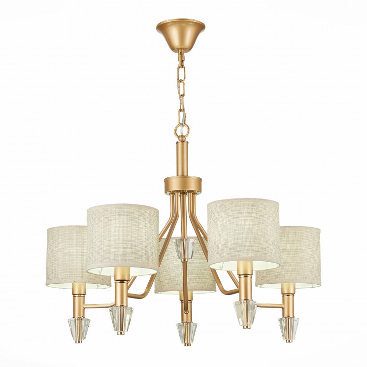 Люстра подвесная Evoluce VILEDE SLE107003-05