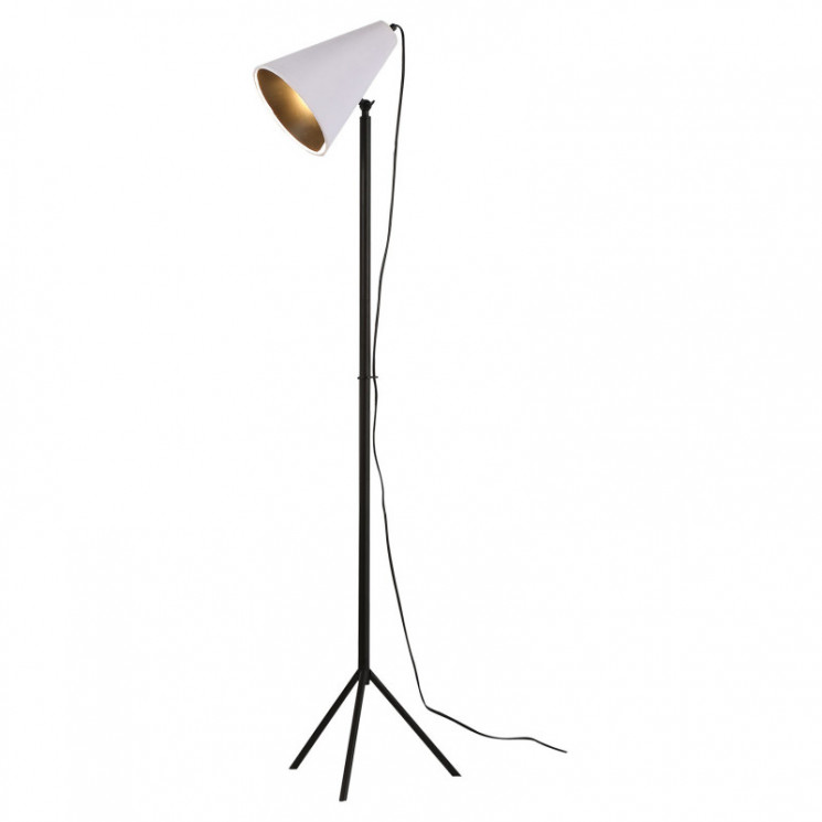 Торшер Lussole LSP-0564 COZY