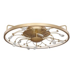 Потолочный светильник Favourite 2534-5C Waltz