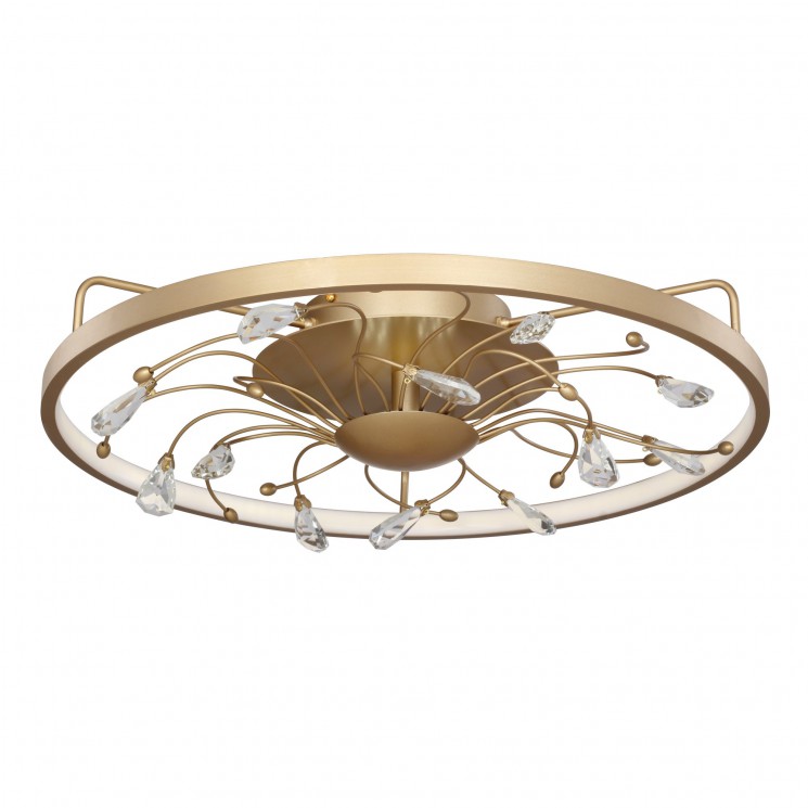 Потолочный светильник Favourite 2534-5C Waltz