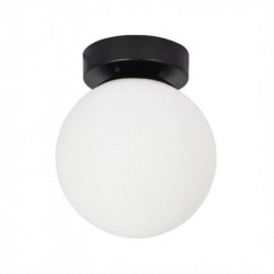 Настенно-потолочный светильник Arte Lamp A2224PL-1BK ALCOR