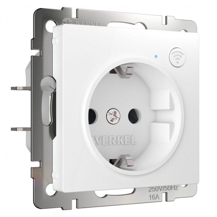 Умная  встраиваемая розетка с заземлением с защитными шторками W1171601 Werkel