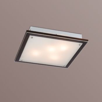 Настенно-потолочный светильник СОНЕКС 4242V (Ск)