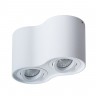 Светильник потолочный Arte lamp FALCON A5645PL-2WH