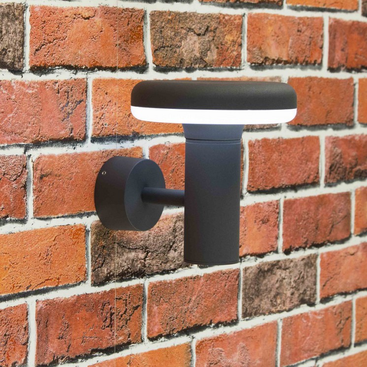 Светильник уличный Citilux CLU01W