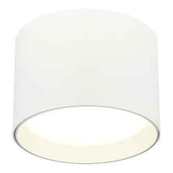 Светильник потолочный ST Luce Белый GX53 1*50W IP20 D85xH60 220V Без ламп      ST163.502.01