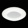 Светильник потолочный ST-Luce SL960.562.01D LEVITA