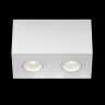 Потолочный светильник Maytoni Technical C017CL-02W