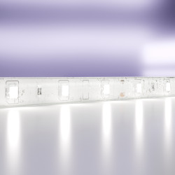 Светодиодная лента Maytoni Technical(Led Strip) 12В 2835 4,8Вт/м 6000K 5м IP65 10107