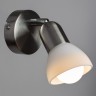 Светильник настенный Arte lamp FALENA A3115AP-1SS