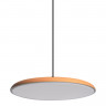 Детский светильник LOFT IT 10119 Orange PLATO