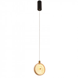 Подвесной светильник Favourite 4488-1P Slik