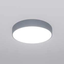 Потолочный светильник Eurosvet 90319/1 серый Entire