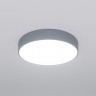 Потолочный светильник Eurosvet 90319/1 серый Entire