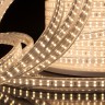 Лента светодиодная Elektrostandard LS011 220V 18W 180Led 2835 IP65, белый 4200К 50м