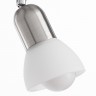 Светильник потолочный Arte lamp FALENA A3115PL-2SS