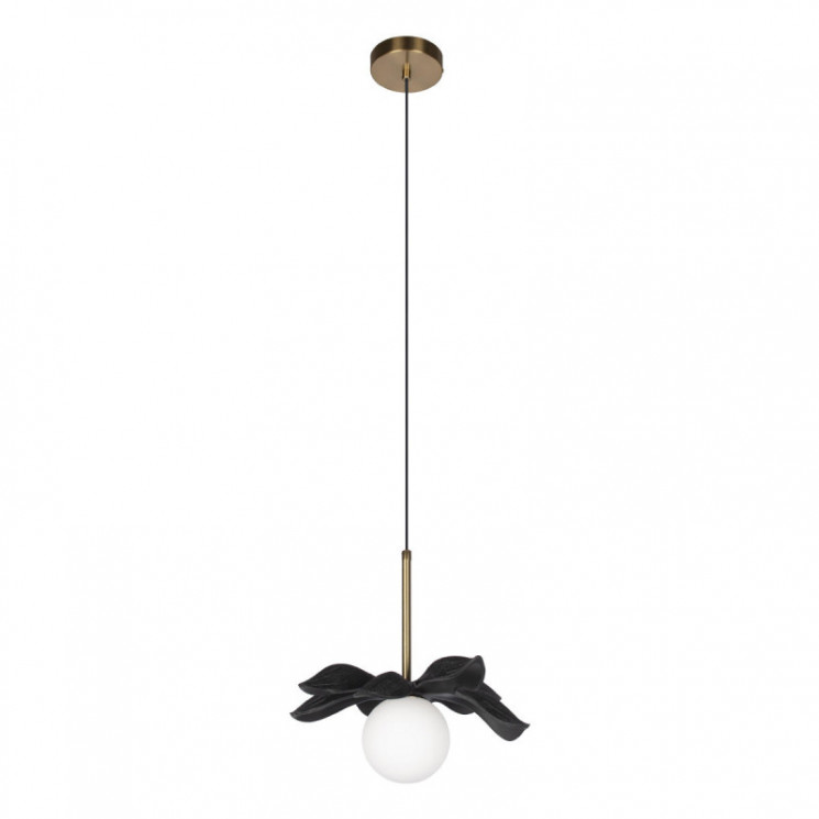 Подвесной светильник LOFT IT 10213/A Black Monro