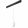 Комплект со светильником Rullo для трека PRO Rullo Lightstar PRORP436