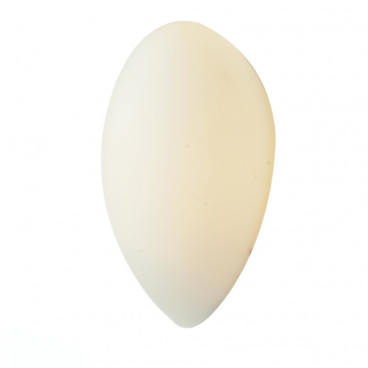 Светильник настенный ST-Luce SL507.551.01