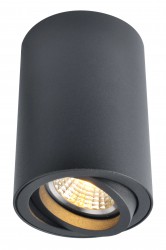 Светильник потолочный Arte lamp A1560PL-1BK SENTRY