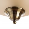 Светильник потолочный Arte lamp SAFARI A6905PL-2AB