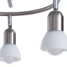 Светильник потолочный Arte lamp FALENA A3115PL-3SS