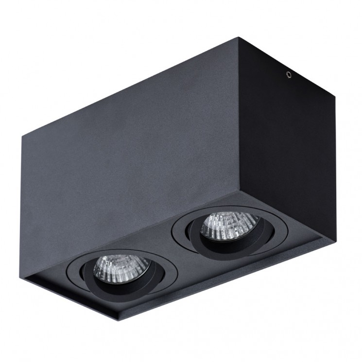 Светильник потолочный Arte lamp FACTOR A5544PL-2BK