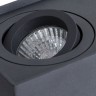 Светильник потолочный Arte lamp FACTOR A5544PL-2BK