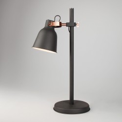 Настольный светильник Eurosvet 01031/1 черный Projector