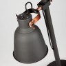 Настольный светильник Eurosvet 01031/1 черный Projector