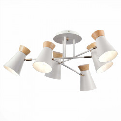 Люстра на штанге Evoluce SLE1252-502-06 ALFEO